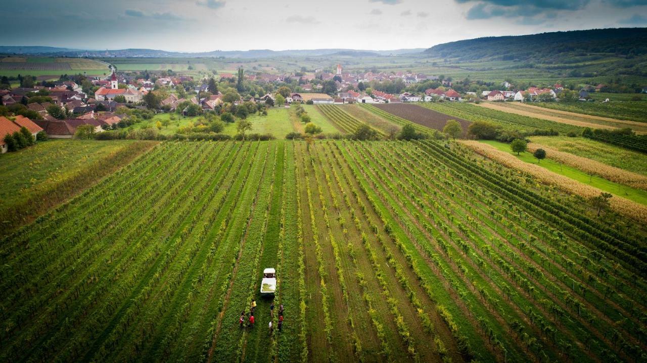 Weingut Familie Krell Hotel Mitterretzbach Exterior foto